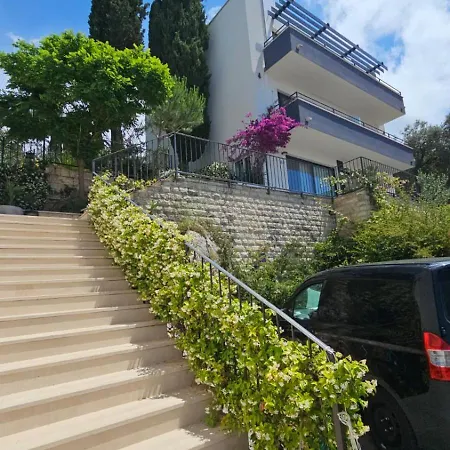 Apartment Alpha *