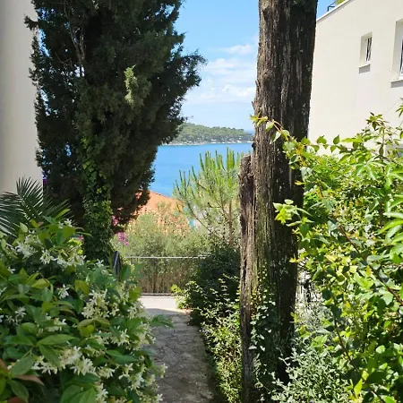 Alpha Cavtat